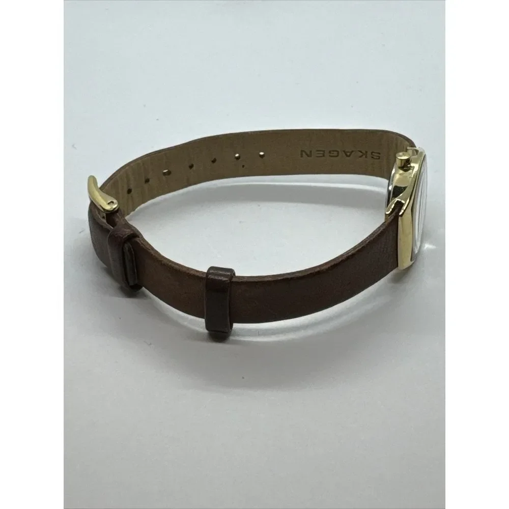 Skagen Asta SKW2239 Women's Brown Leather Analog Dial Quartz Wrist Watch JNA923